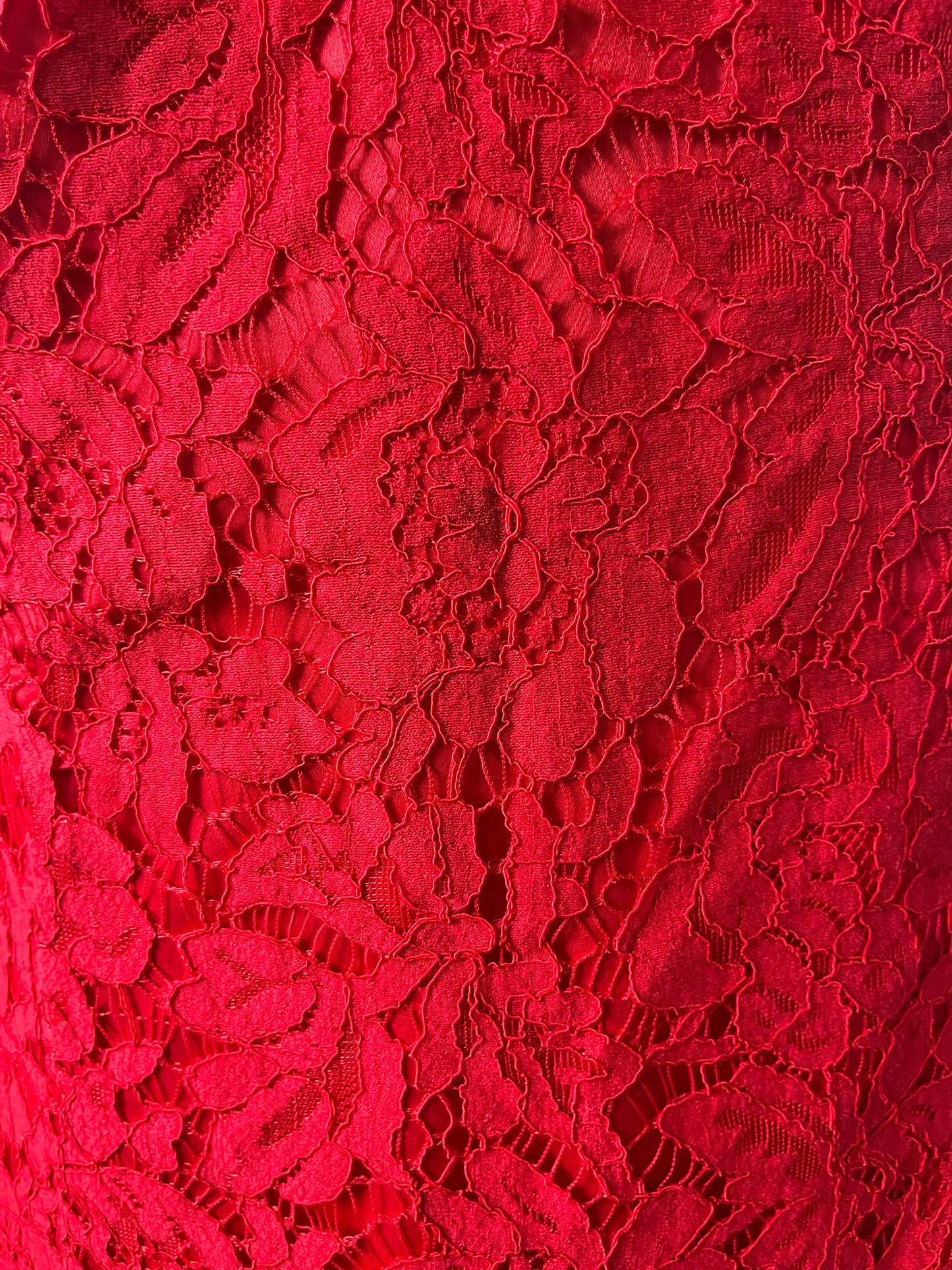 Review Red Lace Dress Size 16