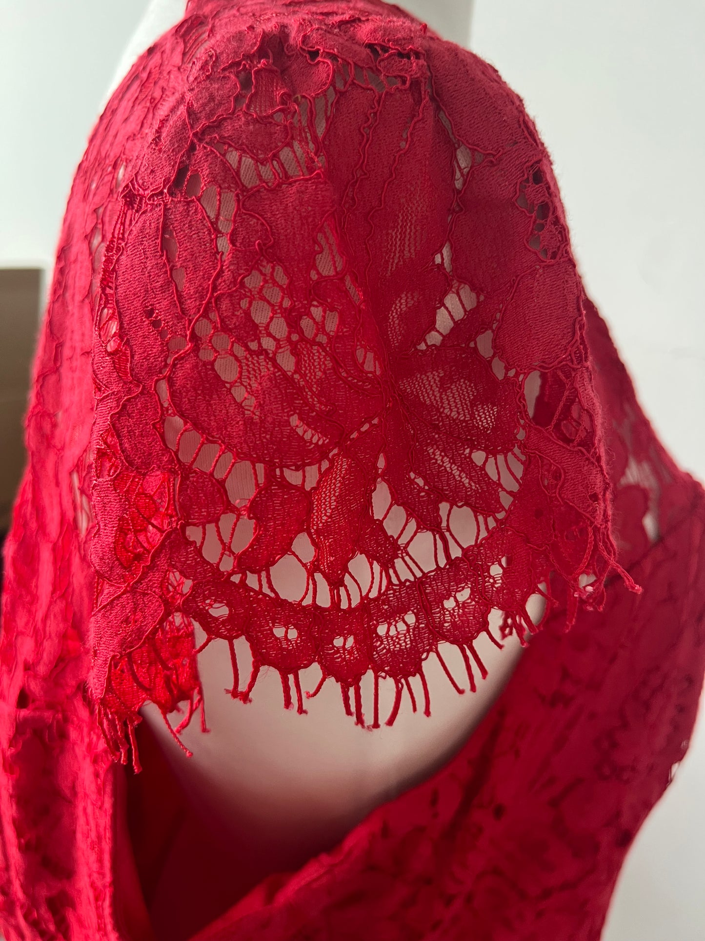 Review Red Lace Dress Size 16